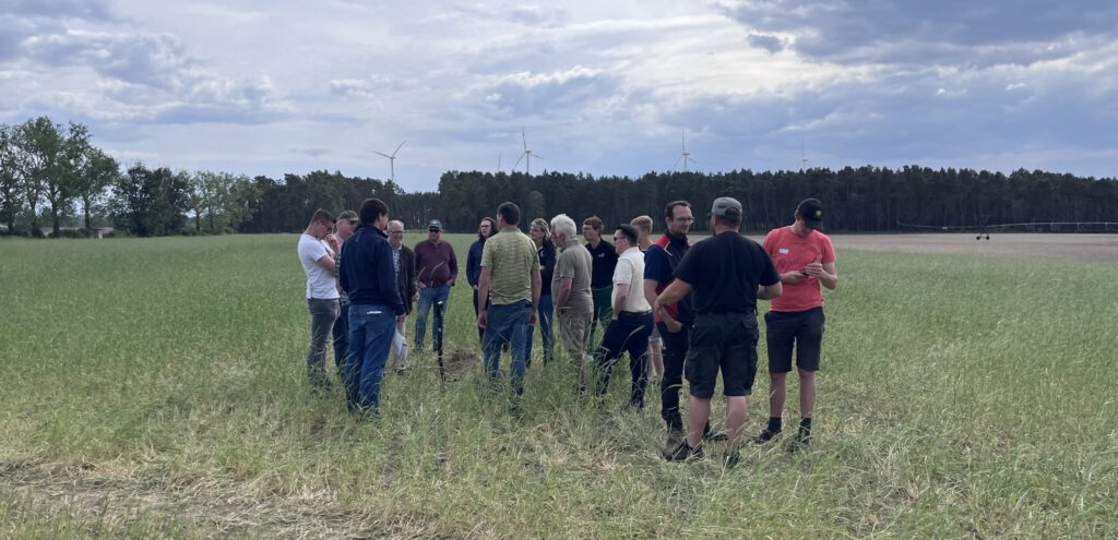 Building Trust Through Knowledge – Why We Offer Free Sales Training in Food and Agribusiness